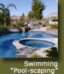 Swimming Pool-scaping